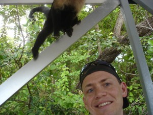 Monkeys weren't always photogenic