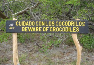 Beware of large lizards with teeth
